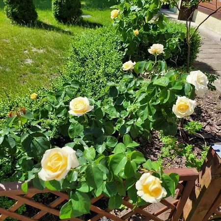 Natura Park W Stegnie 3*