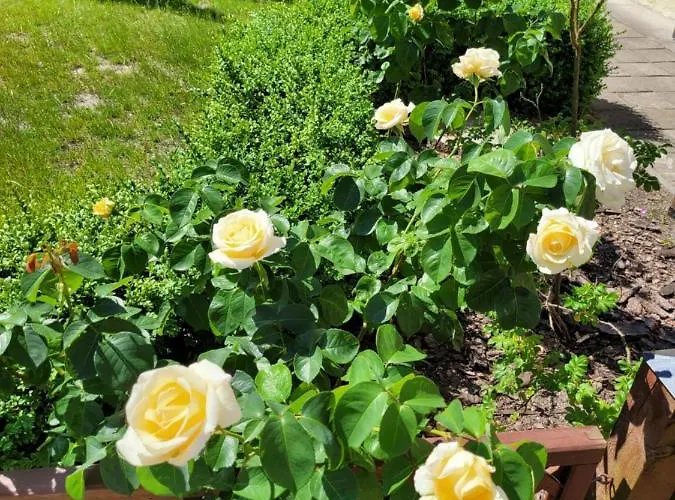 Natura Park W Stegnie 3*